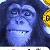 Blue Monkey - BG Sips
